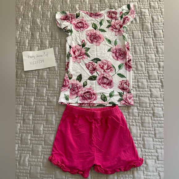 Posh peanut 2 piece set size 3t, pink shorts & short sleeve top - Picture 2 of 3